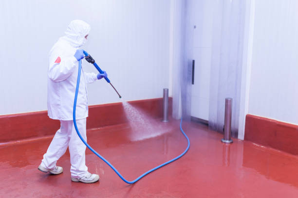 Best Rust Removal  in Nampa, ID
